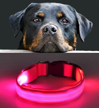 Köpek Tasmaları Led Işık Köpek Tasması Özel Etiketli BuShop Yansıtıcı Pembe M