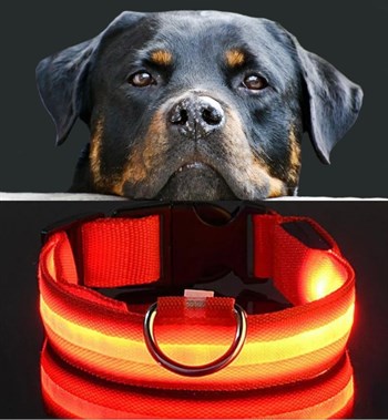 Köpek Tasmaları Led Işık Köpek Tasması Özel Etiketli BuShop Yansıtıcı Kırmızı M