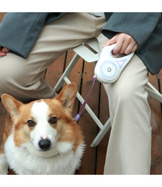 Köpek Tasması Otomatik Geri Çekilebilir Ledli El Fenerli BuShop 5m Mor