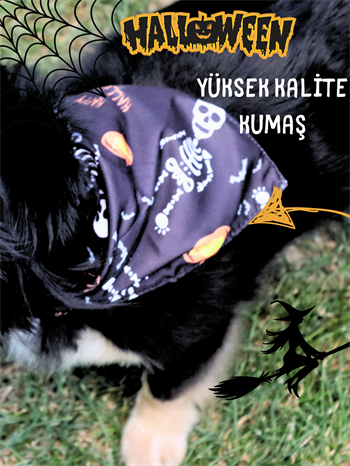 Köpek Ve Kedi Fular Bandana Cadılar Bayramı modeli Siyah BuShop