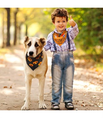 Köpek Ve Kedi Fular Bandana Cadılar Bayramı modeli Siyah BuShop