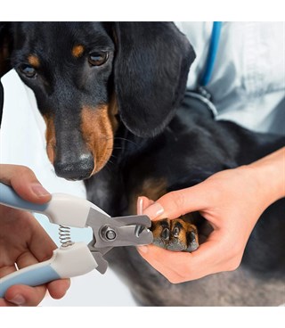 Köpek ve Kedi için Tırnak Makası ve Tırnak Törpüleme Seti - Süper İkili-Yüksek Kalite-İthal-Mavi