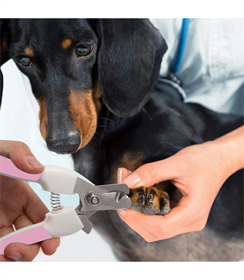 Köpek ve Kedi için Tırnak Makası ve Tırnak Törpüleme Seti - Süper İkili-Yüksek Kalite-İthal-Pembe