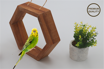 Kuş İçin Doğal Ahşap Balkon-Kuşlar için Doğal Stant-Masa üstü yada Asılarak Kullanılabilir-BuShop Doğal Yaşam
