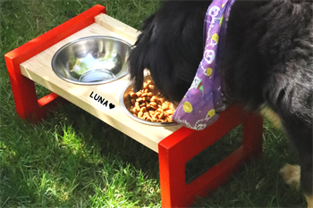 Mama Kabı, Mama Kabı Kedi , Mama Kabı Köpek , Ahşap Mama Kabı , Ahşap Köpek Su Kabı , Ahşap Kedi Su Kabı , Ahşap Mama ve Su Kabı, Lady Bird Serisi ,BuShop