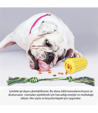Mısır Dayanıklı köpek diş fırçalama ve temizleme oyuncağı  İp hediyeli BuShop Ödül maması verir