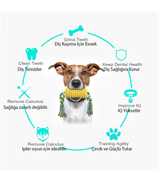 Mısır Dayanıklı köpek diş fırçalama ve temizleme oyuncağı  İp hediyeli BuShop Ödül maması verir