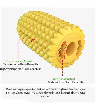 Mısır Dayanıklı köpek diş fırçalama ve temizleme oyuncağı  İp hediyeli BuShop Ödül maması verir