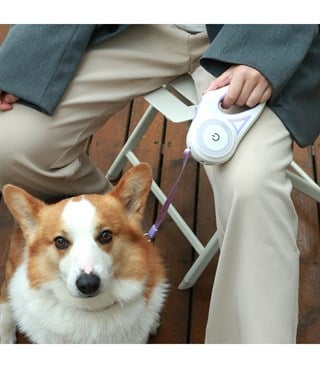 Otomatik Geri Çekilebilir Ledli El Fenerli  Köpek Tasması BuShop 3m Mor