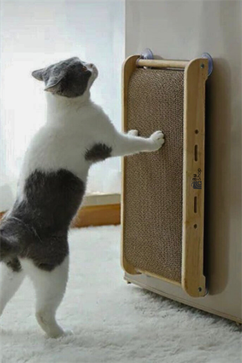 Kedi tırmalama tahtası kedi oyuncak kedi ahşap oyuncak vantuzlu oyuncak kedi kaşıma oyuncağı