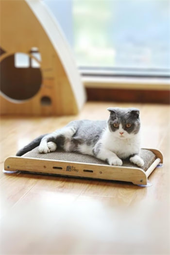 Kedi tırmalama tahtası kedi oyuncak kedi ahşap oyuncak vantuzlu oyuncak kedi kaşıma oyuncağı