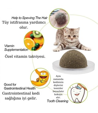 Özel kedi nanesi Doğal yaban sümbüllü   Kedi oyuncağı BuShop Sağlıklı ve vitaminli