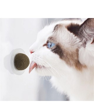 Özel kedi nanesi Doğal yaban sümbüllü   Kedi oyuncağı BuShop Sağlıklı ve vitaminli