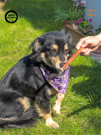 Köpek Ödülü Kolajen Çubuk, 105 gr, Doğal Kurutulmuş, Yüksek Protein, Premium Gurme Seri