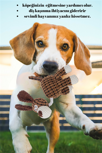 Peluş Dayanıklı Sesli Köpek Oyuncağı ve Köpek Isırma ve kaşıma oyuncağı 3 lü oyuncak seti