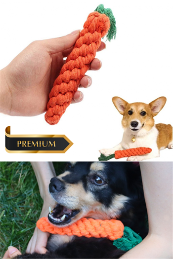 Peluş Dayanıklı Sesli Köpek Oyuncağı ve Köpek Isırma ve kaşıma oyuncağı 3 lü oyuncak seti