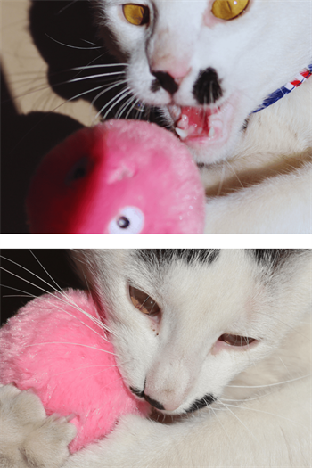 Peluş kedi oyuncak İnteraktif kedi oyuncağı Gerçek Kuş Sesli - Pembe