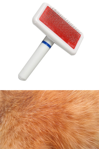 Şampuan Hazneli Kedi Ve Köpek Evcil Hayvan Yıkama Fırçası, Kedi ve Köpek Tüy Deri Bakım Fırçası Süper 2 li İthal Set
