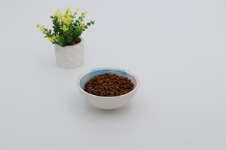 Seramik Kase 12,5 cm kedi köpek mama kabı Model: Okyanus