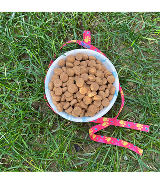 Seramik Kase 12,5 cm kedi köpek mama kabı Model: Okyanus