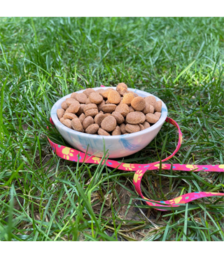 Seramik Kase 12,5 cm kedi köpek mama kabı Model: Okyanus