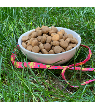 Seramik Kase 12,5 cm TEKLİ kedi köpek mama kabı Model: Vanilyam