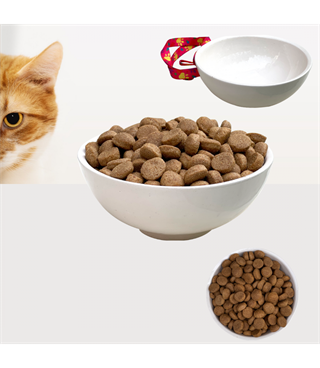 Seramik Kase 12,5 cm TEKLİ kedi köpek mama kabı Model: Vanilyam