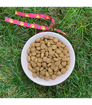 Seramik Kase 12,5 cm TEKLİ kedi köpek mama kabı Model: Vanilyam