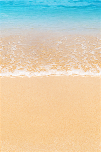 Şezlong Plaj şezlong Ahşap şezlong Minderli Şezlong Havuz Şezlong Bushop Marimo 4