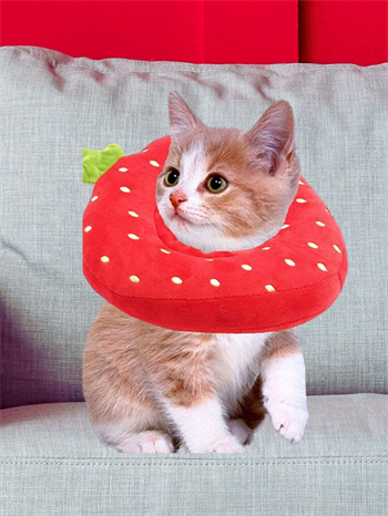 Şişme Yakalığı Yavru Kedi Koruyucu  Boyunluk BuShop Yüksek Kalite %100 Pamuk Çilek Modeli Medium