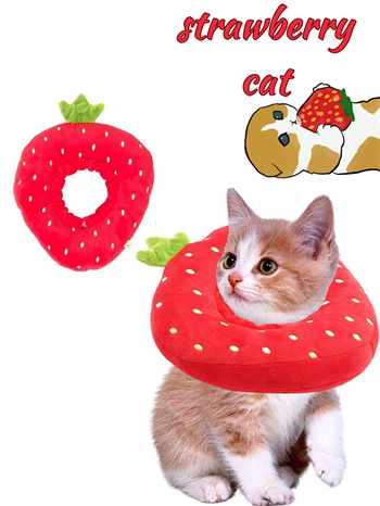 Şişme Yakalığı Yavru Kedi Koruyucu  Boyunluk BuShop Yüksek Kalite %100 Pamuk Çilek Modeli Medium