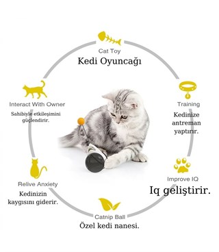 Tekerlekli  kedi oyuncağı  Vakum ile sabitlenir  Enerji Harcatır  Asla devrilmez  Yeşil BuShop