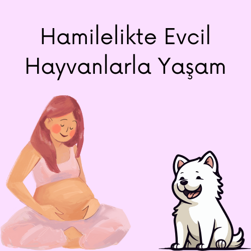 Evcil Hayvanınız ve Gebelik: Uyumlu Bir İlişki İçin Rehber