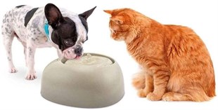 Imac Pet Fountain Kedi ve Köpekler için Otomatik su Kabı 2lt - Gri x 1 Adet