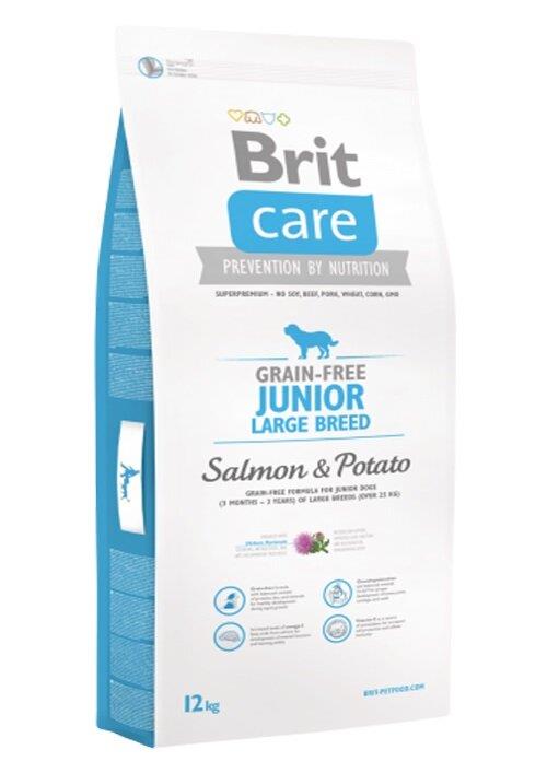 Brit Care Junior Large Breed Tahılsız Somonlu Büyük Irk Yavru Köpek Maması 3 Kg