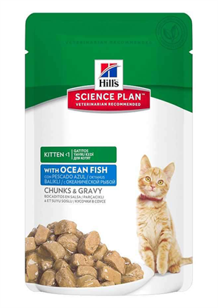 Hills Kitten Food with Fish Balıklı Yavru Kedi Maması 85 Gr X 12 Adet