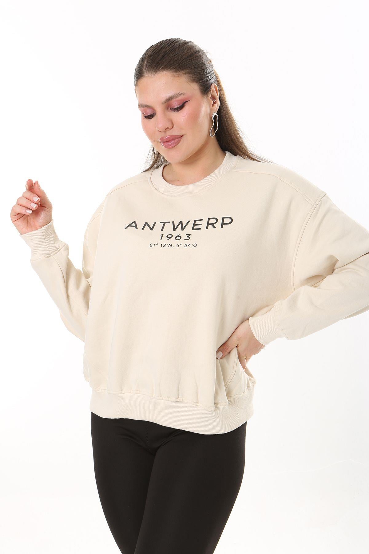 Kadın Büyük Beden Bej İçi Şardonlu Kumaş Ön Baskılı Sweatshirt 65N37719