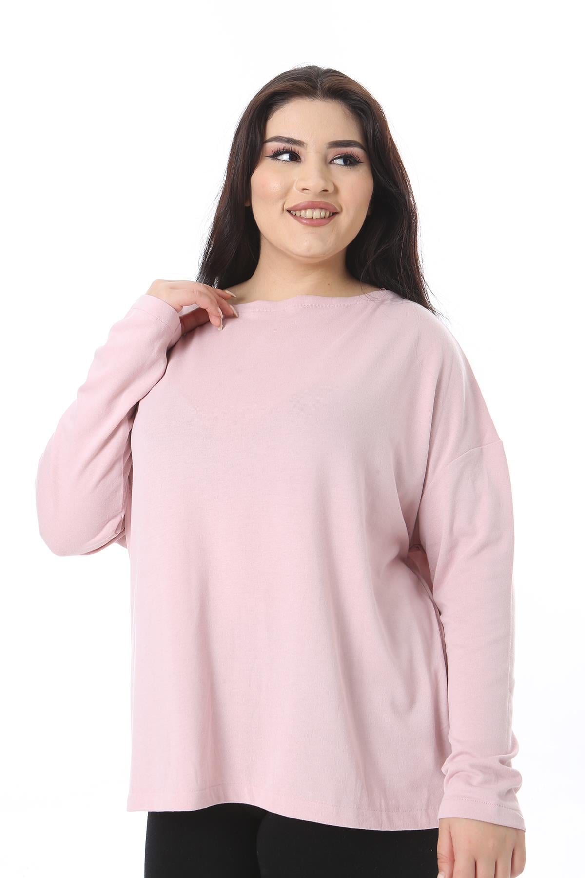Kadın Büyük Beden Pembe Bisiklet Yakalı Uzun Kollu Bluz 65N38538