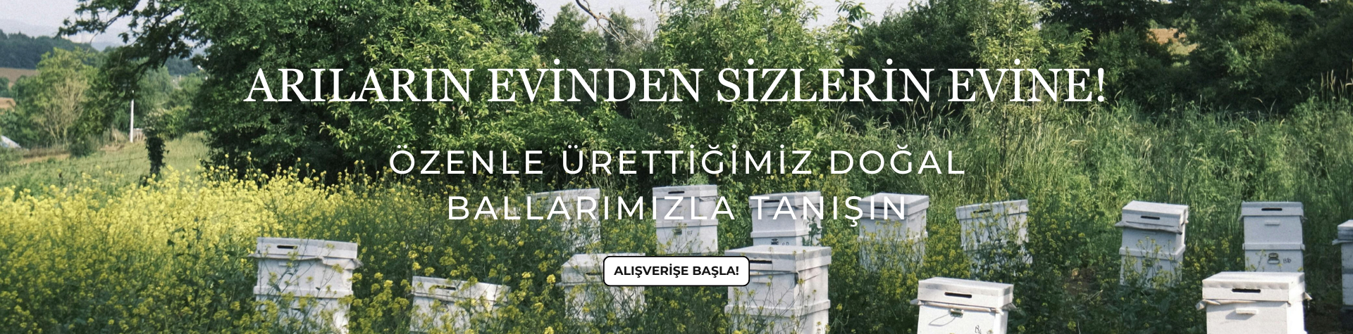 Arıların Evinden Sizlerin Evine!