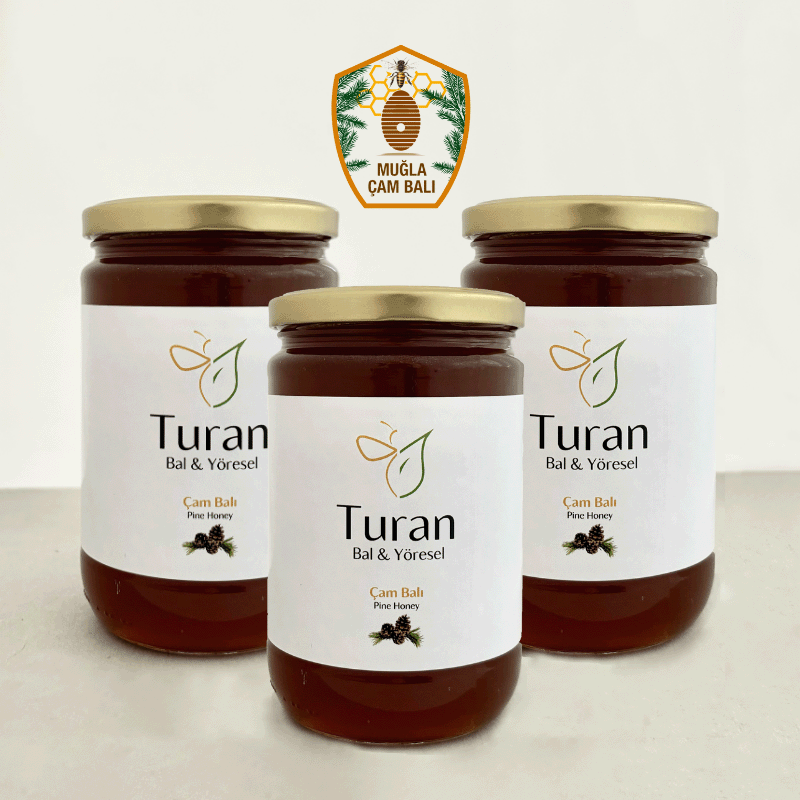 Çam Balı Coğrafi İşaret Tescilli- Üçlü Set 850g