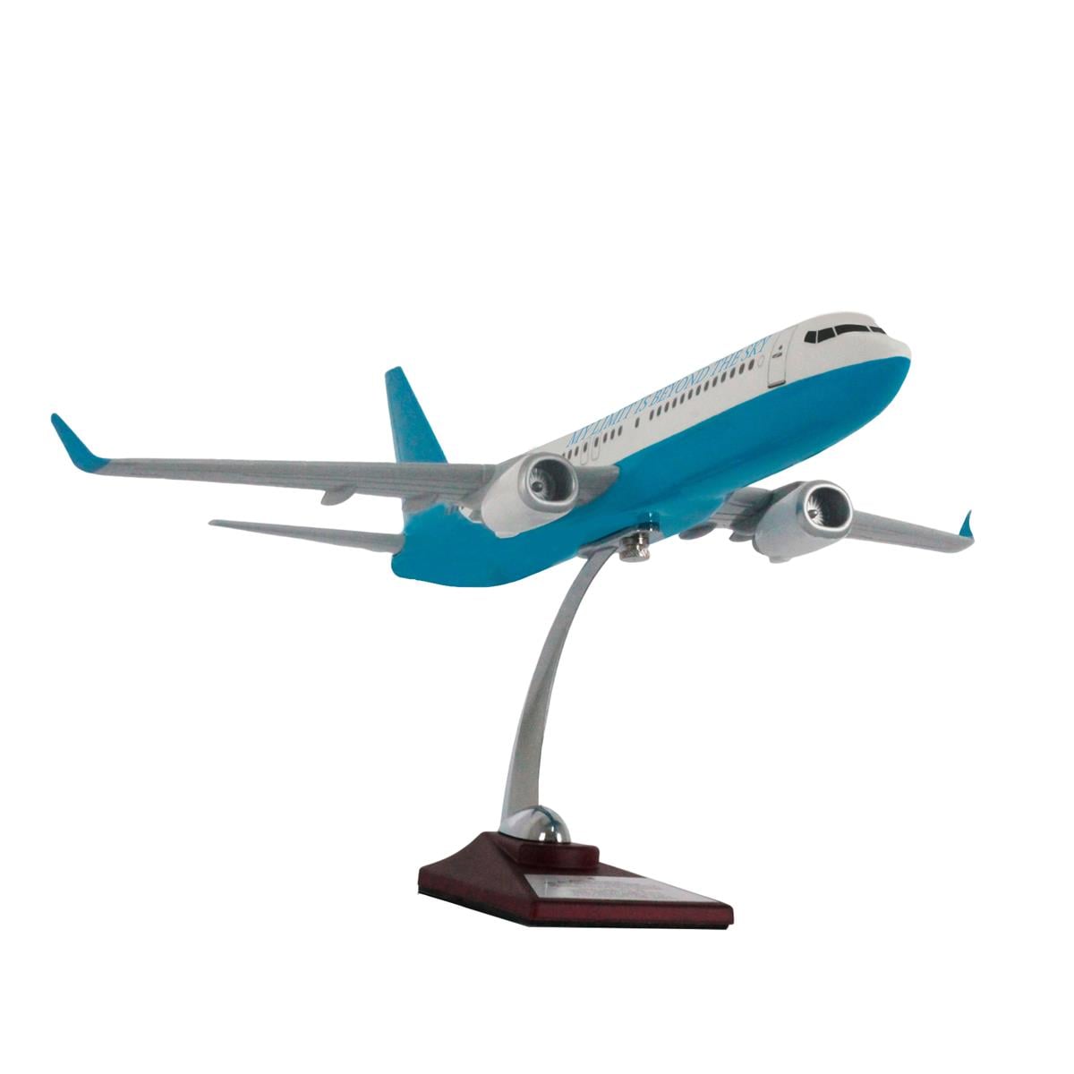 Zekupp Boeing 737-800 1/100 Ölçek My Limit Is Beyond The Sky Tasarım Maket Uçak