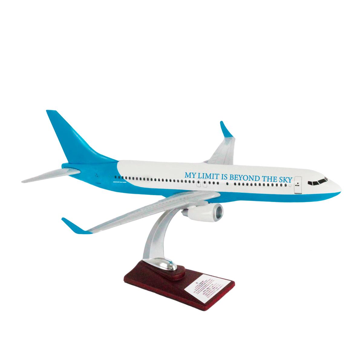 Zekupp Boeing 737-800 1/100 Ölçek My Limit Is Beyond The Sky Tasarım Maket Uçak