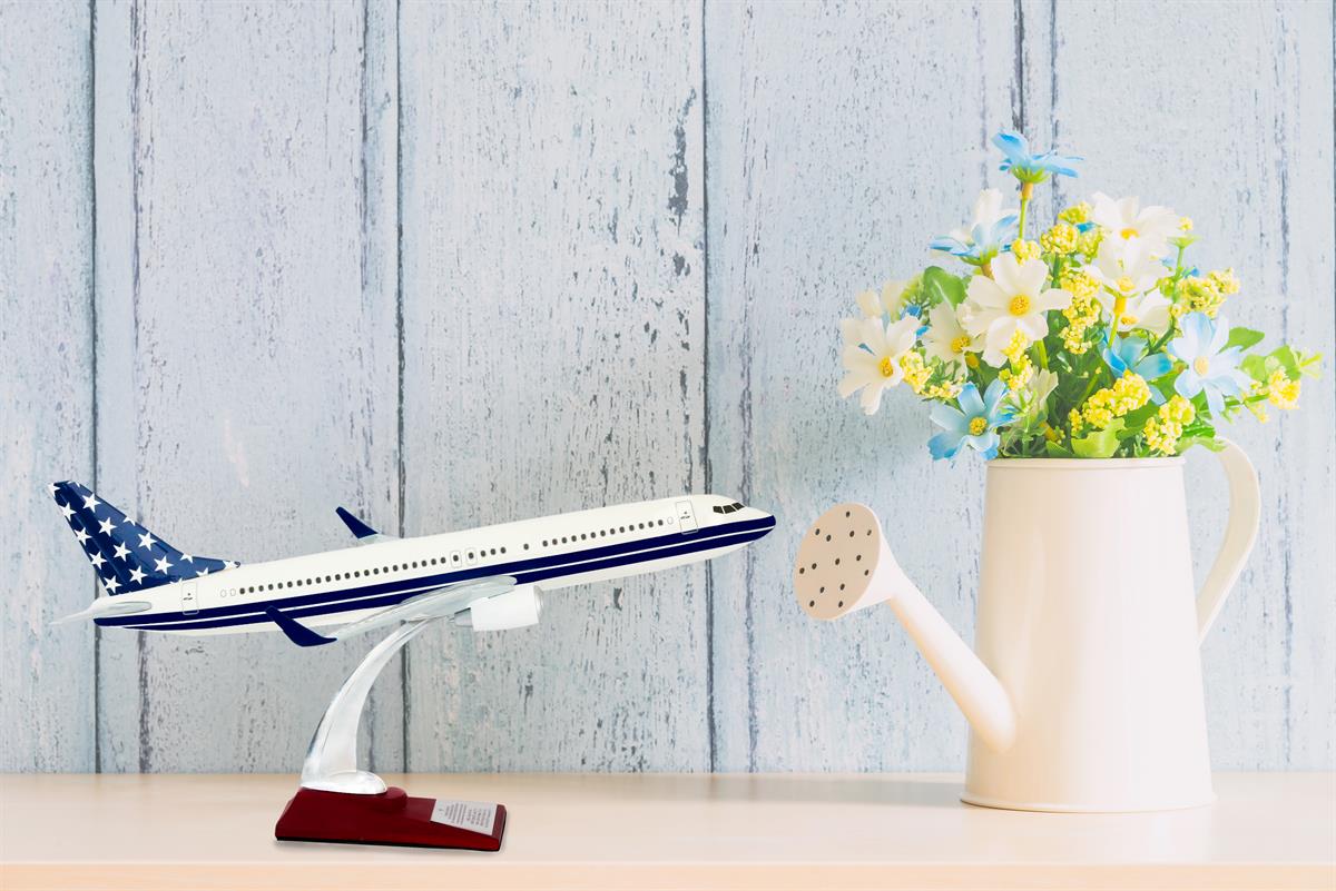 Zekupp Boeing 737-800 1/100 Ölçek Lacivert Yıldızlı Maket Uçak