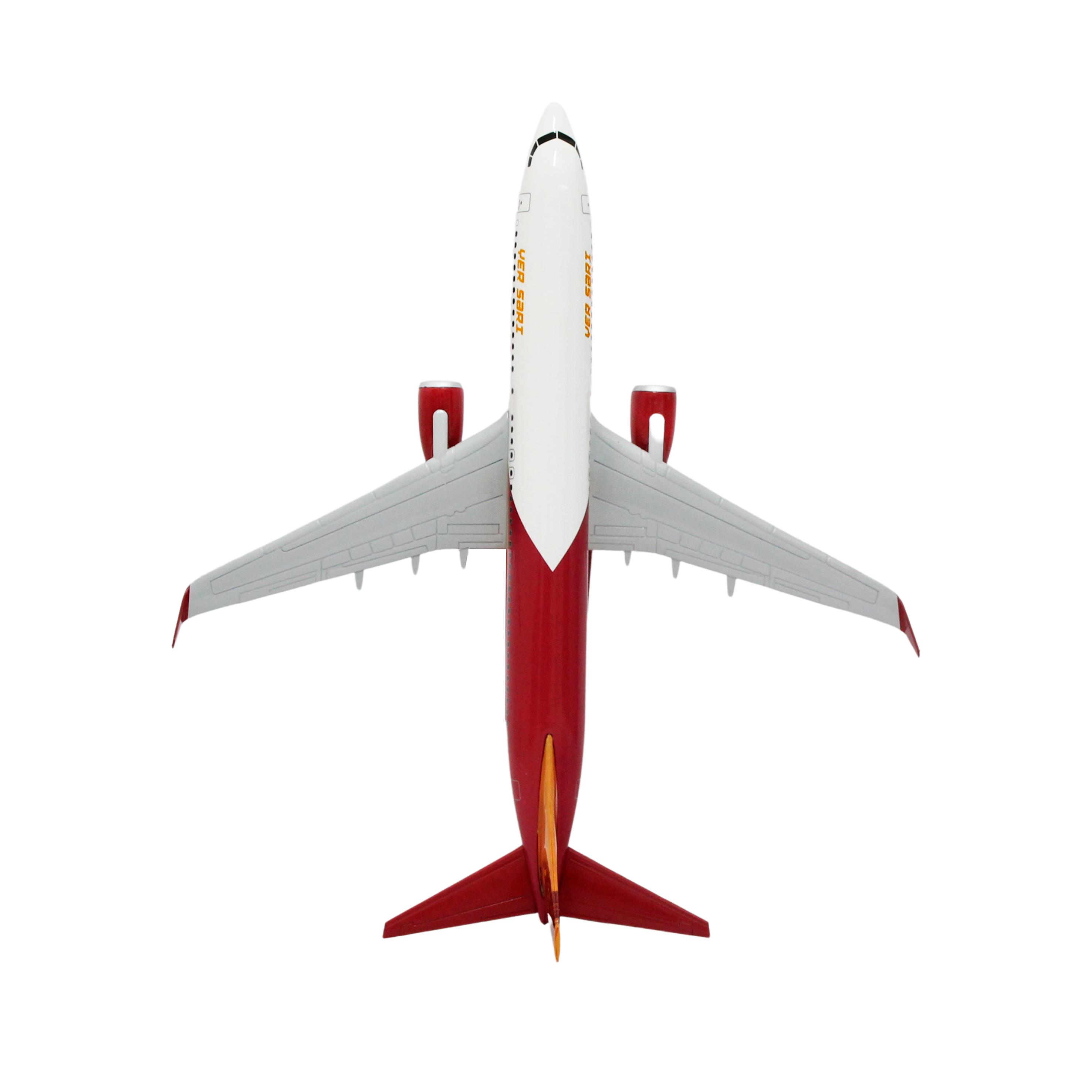 Zekupp Boeing 737-800 1/100 Ölçek Lion King Tasarımlı Maket Uçak