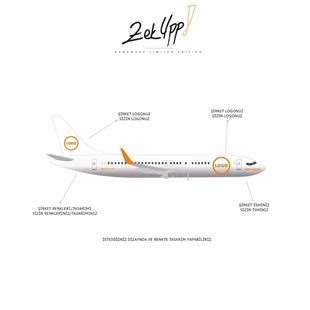 Zekupp Boeing 737-800 1/100 Ölçek Özel Tasarım Maket Uçak 