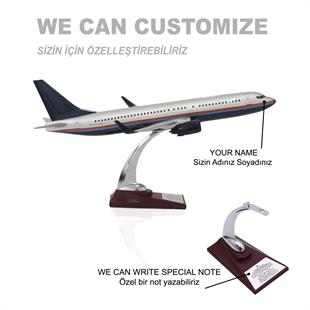 Zekupp Boeing 737-800 1/100 Ölçekli Gümüş Şeritli Model Uçak