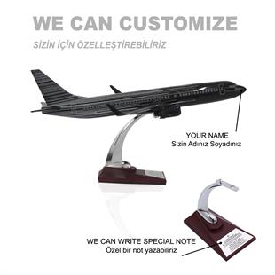 Zekupp Boeing 737-800 1/100 Siyah Çok Çizgili Tasarım Model Uçak
