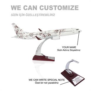 Zekupp Boeing 737-800 1/100 Ölçek Kahverengi Desenli Maket Uçak