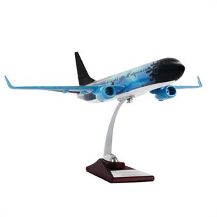 Zekupp Boeing 737-800 1/100 Ölçek Okyanus Temalı Maket Uçak