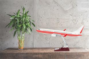 Zekupp Boeing 737-800 1/100 Ölçek Kırmızı Çizgili Beyaz Maket Uçak